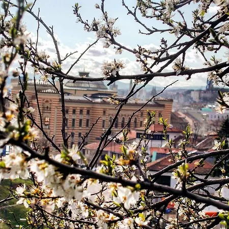 Apartmán Milk&honey - Free Parking Sarajevo