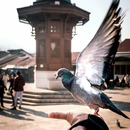 Apartmán Milk&honey - Free Parking Sarajevo