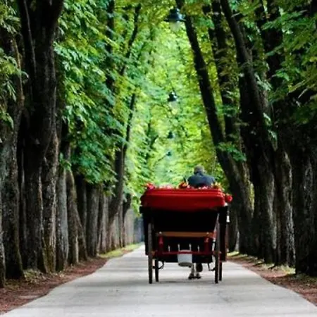 Milk&honey - Free Parking * Saraybosna